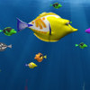 鱼吃鱼