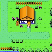 口袋怪兽 - 珍珠版